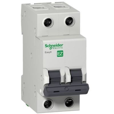 EZ9F34206 6A 2P Aptomat MCB Schneider