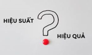 Hiệu xuất và hiệu quả