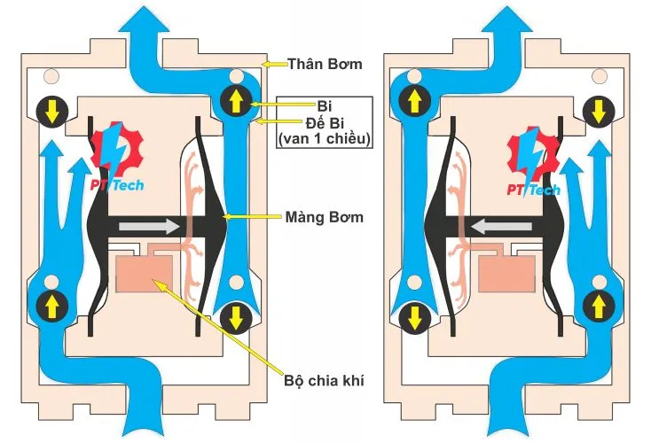 Cấu tạo và Nguyên lý hoạt động Bơm Màng Khí Nén WILDEN 1/2 inch